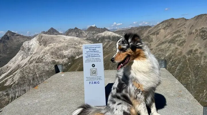 Hund | © Julia Götze 