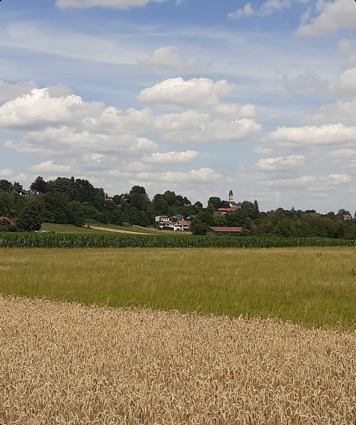 © Herbert Kleeblatt