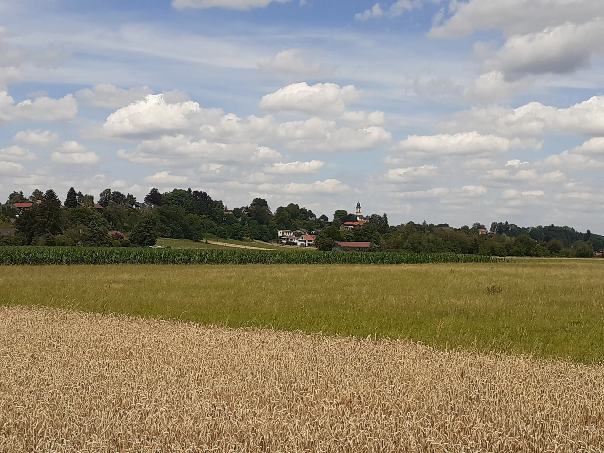 © Herbert Kleeblatt