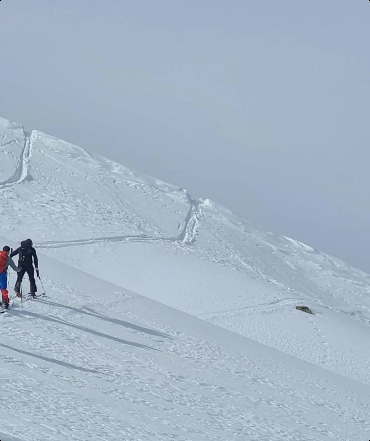 © Michi Halbig