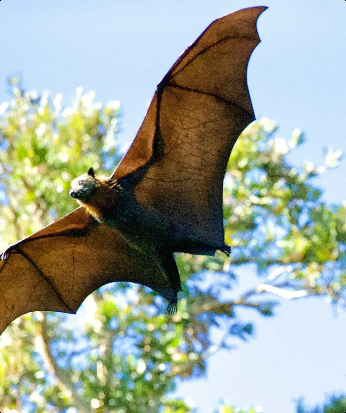 © Unsplash | James Wainscoat