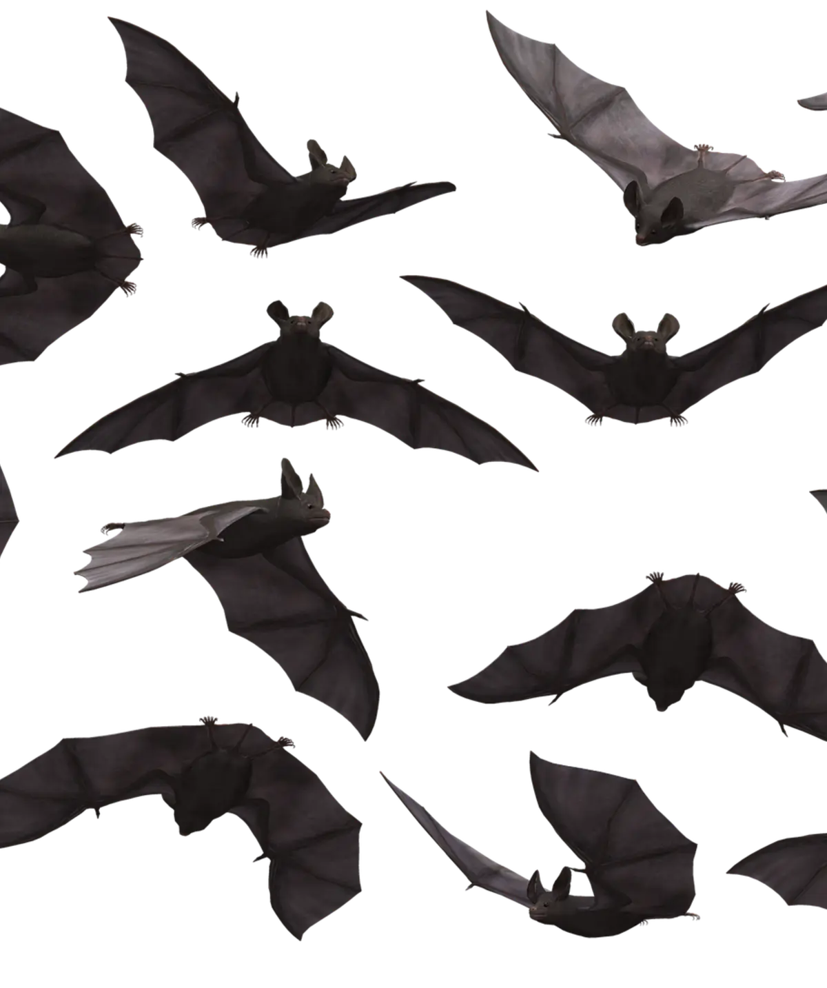 © Parker West | Pixabay