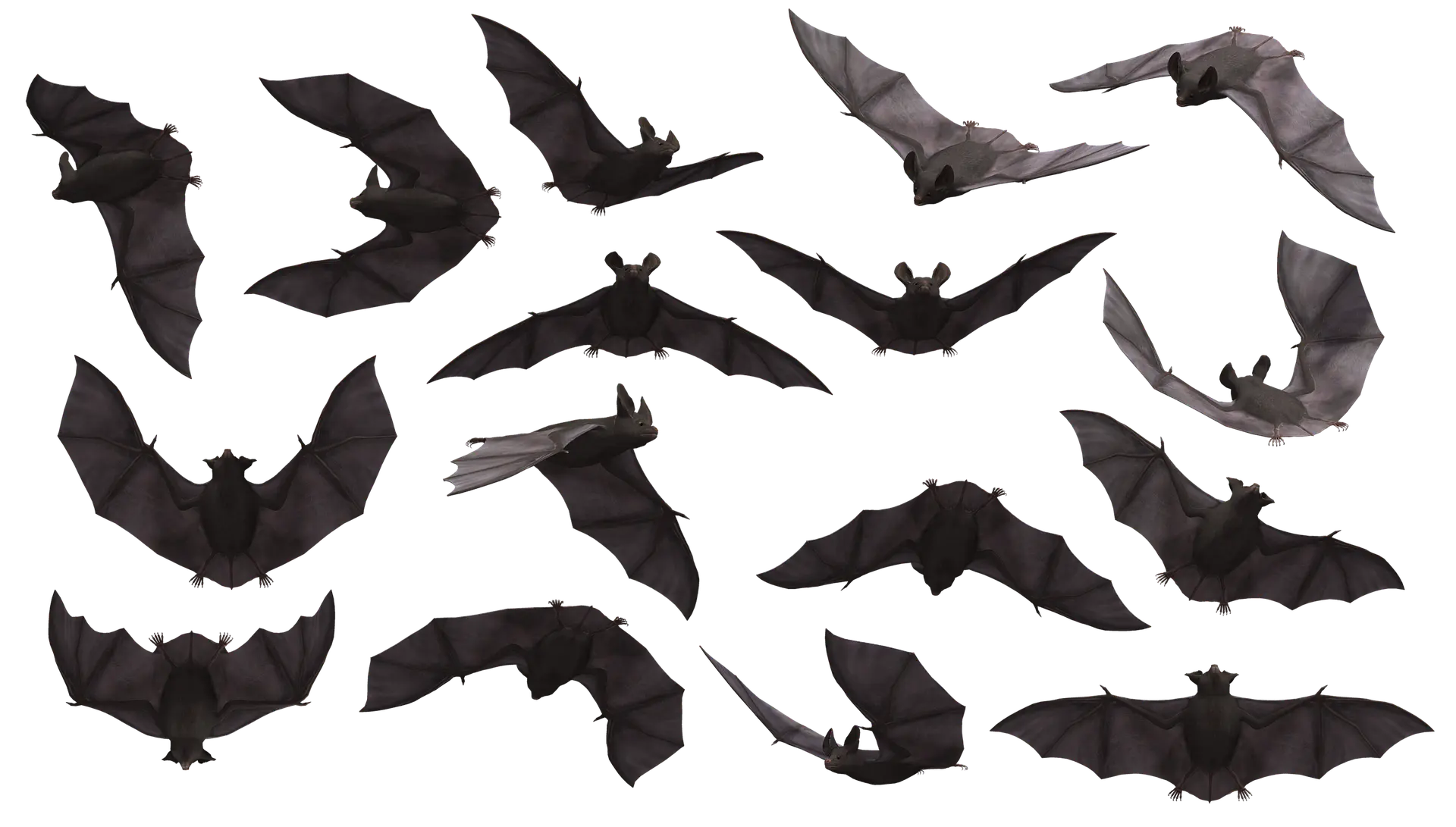 © Parker West | Pixabay