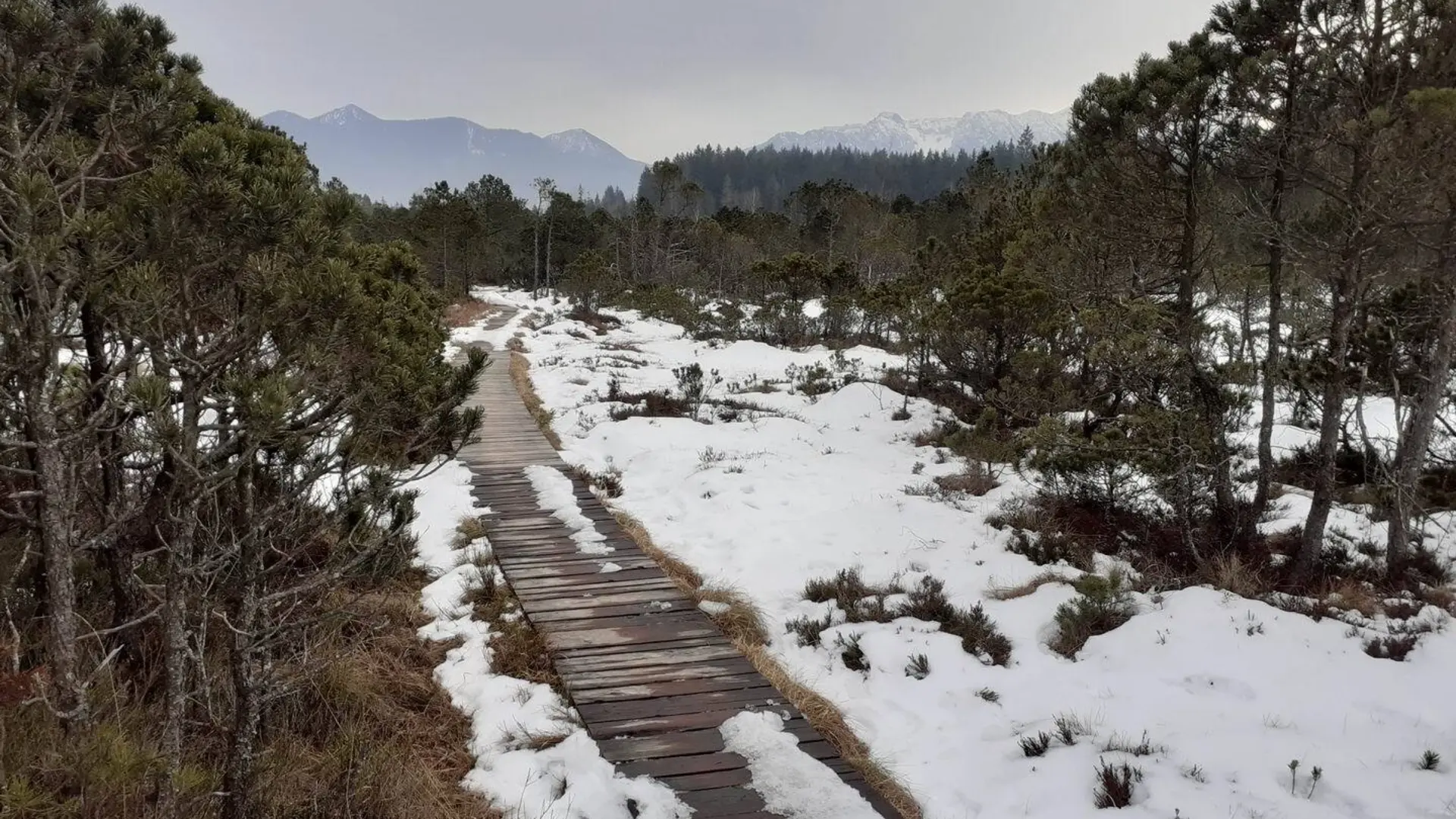 © Herbert Kleeblatt 