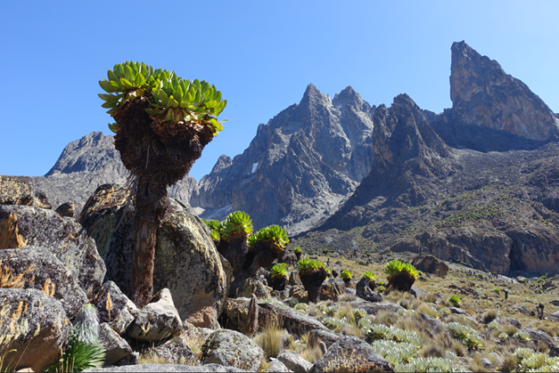 Mount Kenia | © Claus Haberda Mount Kenia | © Claus Haberda