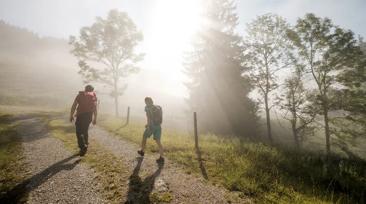 Gemeinsamer Aufstieg bei Sonnenaufgang - die Sonne scheint durch den Nebel | © DAV/Hans Herbig