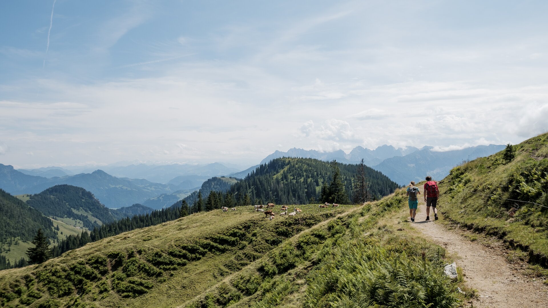 Wandern in den Chiemgauer Bergen | © DAV/Hans Herbig Zwei Wanderer auf einem Bergpfad in den Chiemgauer Alpen | © DAV/Hans Herbig