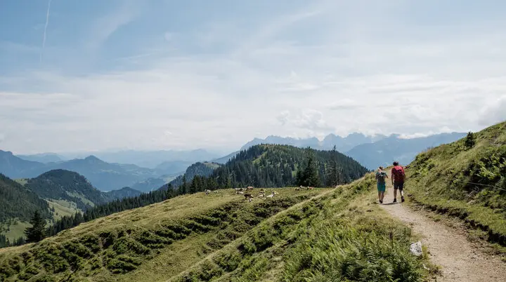 Zwei Wanderer auf einem Bergpfad in den Chiemgauer Alpen | © DAV/Hans Herbig