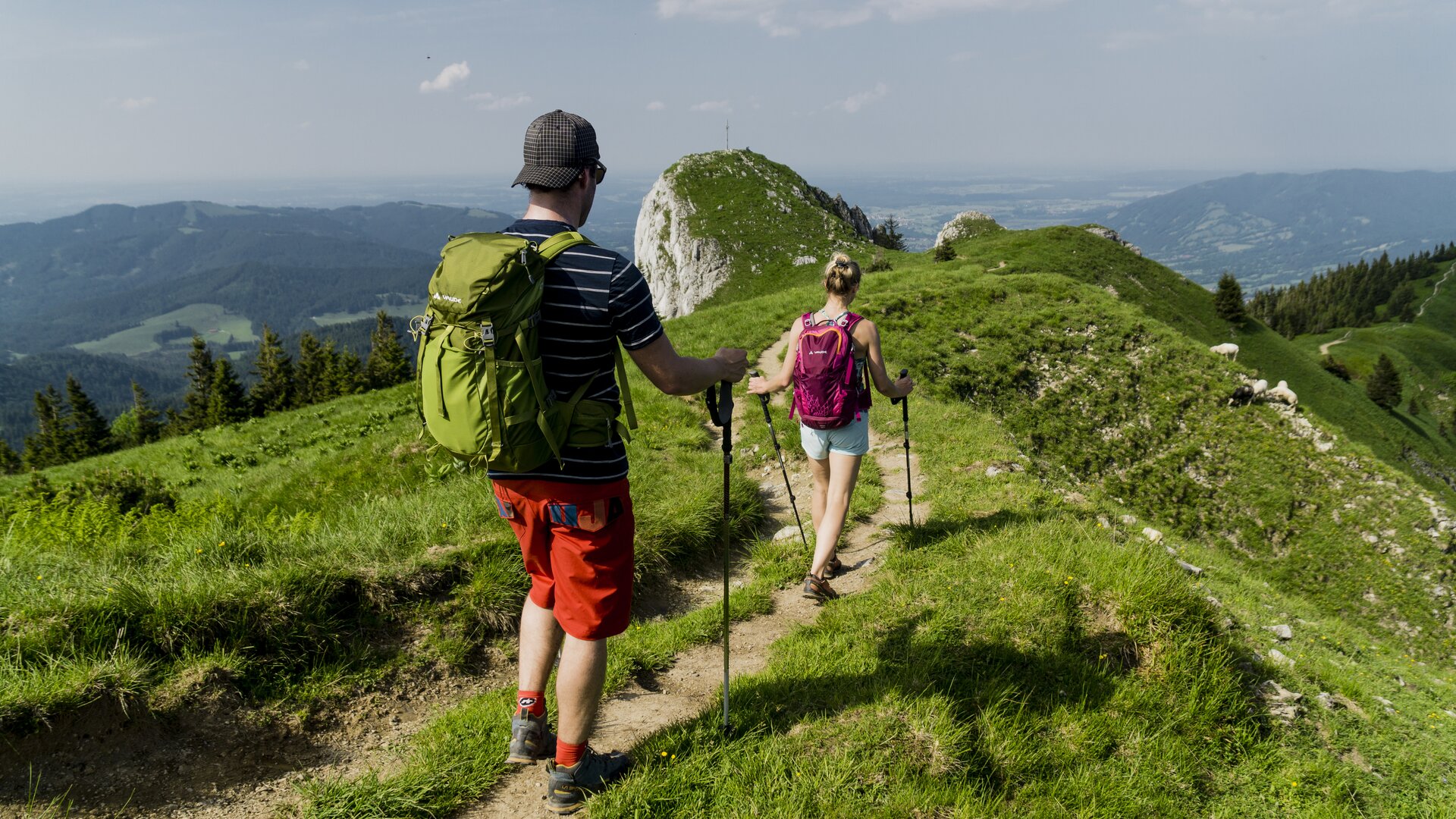 Wandern in den Chiemgauer Alpen | © DAV/Hans Herbig Zwei Wanderer auf den grünen Berghängen der Chiemgauer Alpen | © DAV/Hans Herbig