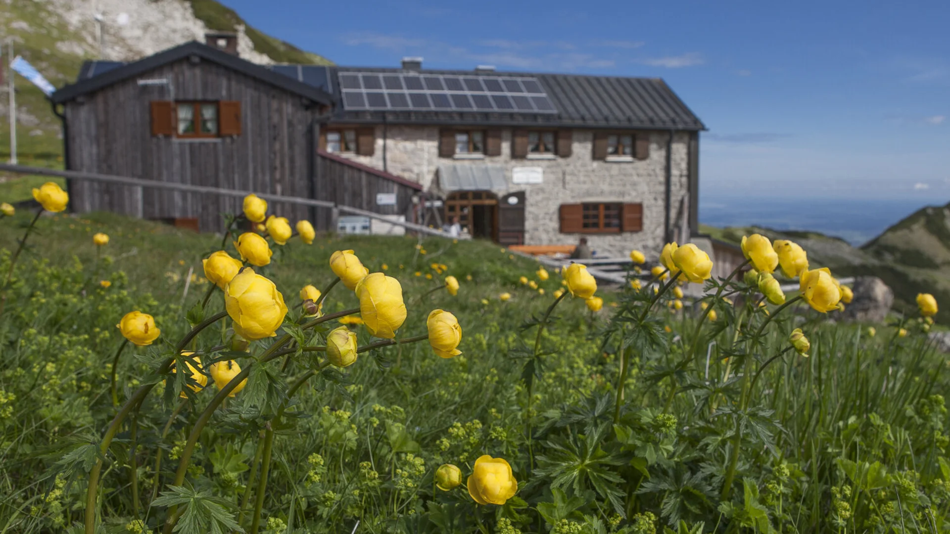 Weilheimer Hütte im Sommer - im Vordergrund Trollblumen | © DAV/Christian Weiermann