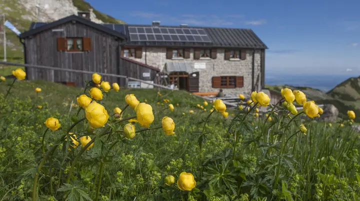 Weilheimer Hütte im Sommer - im Vordergrund Trollblumen | © DAV/Christian Weiermann