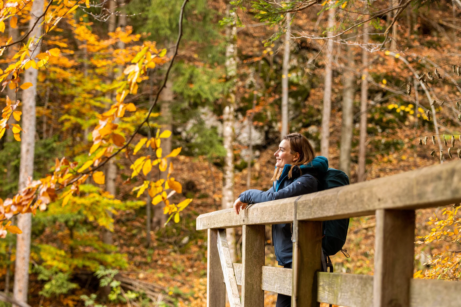 Wandern im Herbst: Eine Frau genießt die herbstliche Stimmung in den Bergen. Das Laub ist bereits bunt verfärbt | © DAV / Franz Günther