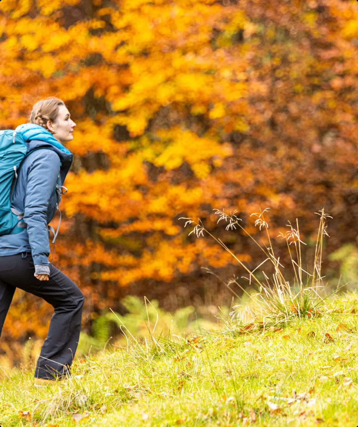 Wandern im Herbst: Eine Frau genießt die herbstliche Stimmung in den Bergen. Das Laub ist bereits bunt verfärbt | © DAV / Franz Günther
